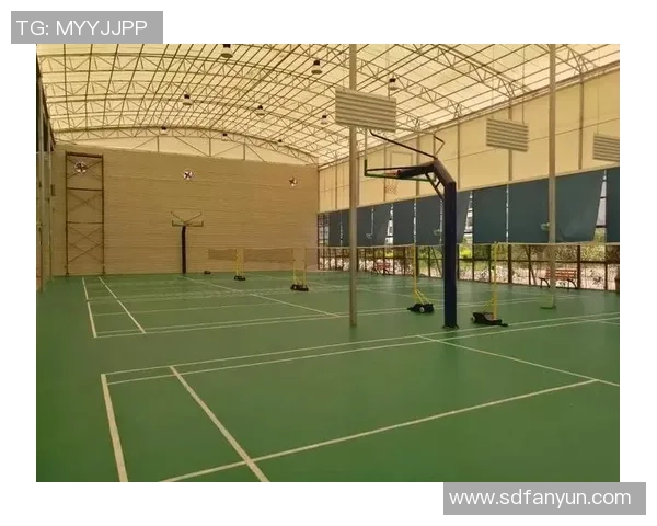 广州篮球队意识对比深度解析与战术思考的全景展现